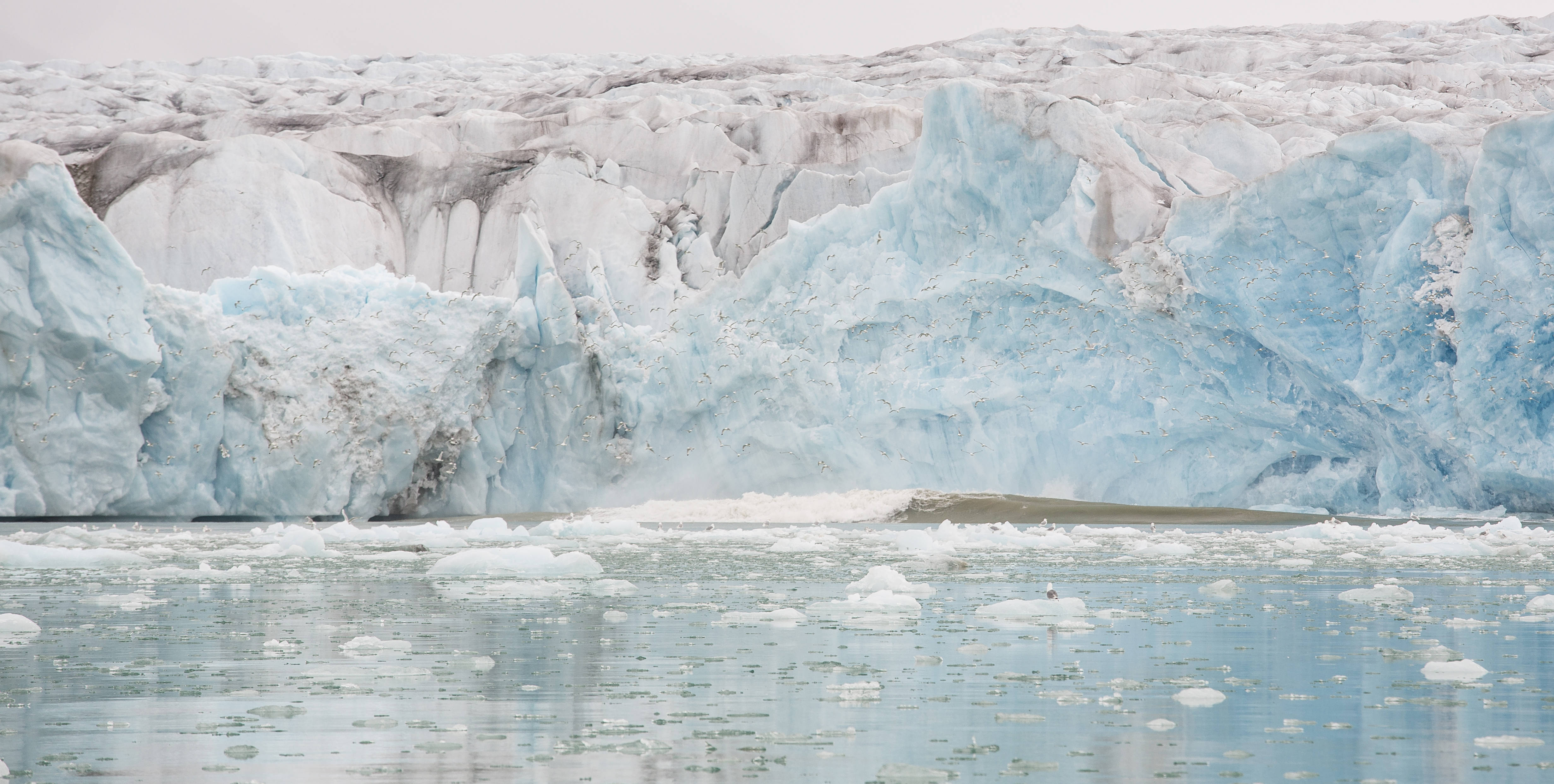 Ana Joaquina do Prado Fonseca visual data 5